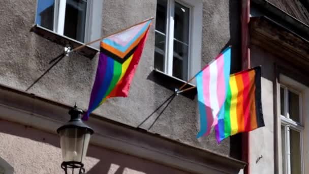 Lgbt同志骄傲旗 女同性恋 男同性恋 双性恋 变性者 同性恋 自豪游行街头庆祝活动的概念 — 图库视频影像