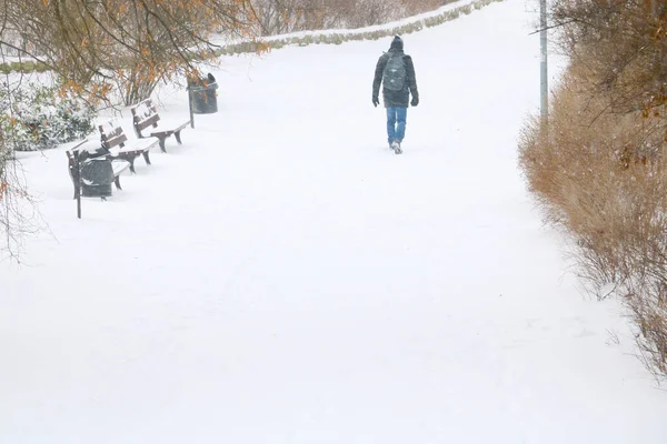 Ein Mann Läuft Auf Einem Schneebedeckten Pfad Park — Stockfoto