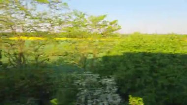 Bereketli yeşil tarlalar ve çiçeklenmiş ağaçlarla dolu canlı bir bahar kırsal manzarası. Doğanın özünü zengin yeşillikler, parlak sarı çiçekler ve açık mavi bir gökyüzü ile yakalayın. Doğadan esinlenilmiş tasarımlar ve arka planlar için mükemmeldir..