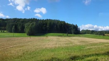 Sakin bir yaz manzarası, pofuduk beyaz bulutlarla benekli parlak mavi gökyüzünün altında yemyeşil tepeler sergiliyor. Ön planda düzgünce biçilmiş çimenlik bir alan var. Huzurlu bir kırsal alan, rahatlama ve doğa takdiri için ideal..