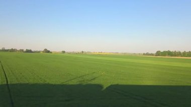 Geniş yeşil alanlar, tarımsal manzaraların sükunetini ve üretkenliğini temsil eden sakin mavi gökyüzünün altında ufka doğru uzanıyor. Doğa, tarım ve kırsal yaşam odaklı konular için ideal.