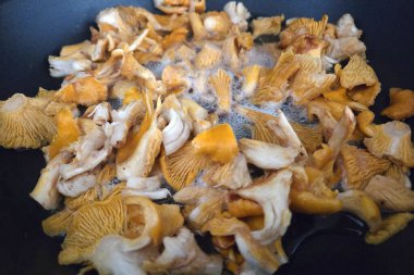 Taze chanterelle mantarları tavada soteleniyor, canlı turuncu renkleri ve eşsiz dokuları sergileniyor. Mevsimsel yemek pişirme, tarif geliştirme ve gurme malzemelerini mutfak sunumlarında resmetmek için ideal.