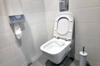 Duvara monte edilmiş beyaz bir tuvalet, paslanmaz çelik sifon düğmesi, tuvalet kağıdı tutacağı ve tuvalet fırçası olan modern umumi tuvaletler. Döşemeli bir ortamda hijyen ve minimalist tasarımı vurgular.