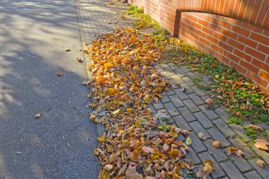 Düşen sonbahar yaprakları tuğla duvarla çevrili bir kaldırım boyunca birikir. Sarı, turuncu ve kahverenginin canlı karışımı serin beton ve yapısal tuğla işçiliğine karşı sıcak, mevsimsel bir kontrastlık yaratır..