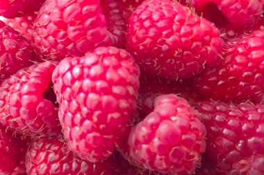 Çerçeveyi dolduran canlı, olgun ahudududuların yakın çekim görüntüsü, zengin kırmızı tonlarını ve detaylı dokularını gözler önüne seriyor. Sağlıklı yeme, doğal ürün, yaz meyveleri ve aşçılık sunumları konulu temalar için ideal.