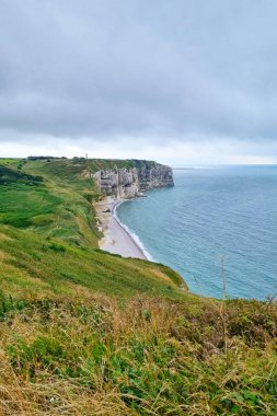 Sahil kayalıkları sakin bir okyanusa bakar, yemyeşil ile kasvetli bir gökyüzünün altındaki açık mavi denizi birleştirirler. Seyahat, doğa ve manzara tasarımları, doğal güzellik ve sükunet için mükemmel..