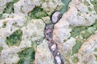 Kıyı hava sahnesinde aşınmış kayalar canlı yeşil yosunlarla karışıyor. pürüzsüz taşlar kumlu oluşumların arasına yerleşmiş vaziyettedir, yapısal kontrastlar ve deniz kenarında erozyon desenleri sergilerler..