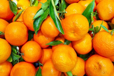 Bu turunçgillerin tazeliğini ve doğal çekiciliğini gözler önüne seren parlak derili, sulu mandalina kümesi organik ve sağlıklı beslenmeyi teşvik etmek için idealdir..