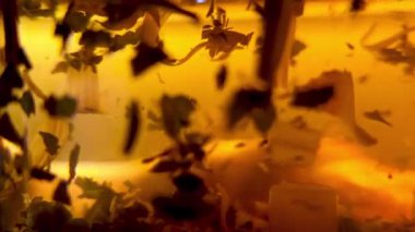 Sonbahar yapraklarının sıcak, altın ışıkta asılı olduğu soyut sanat eserleri. Kompozisyon bir hareket ve sükunet hissi yaratır, düşüşün özünü yakalar. Yaratıcı tasarım projeleri, baskılar ve mevsimsel temalar için ideal.