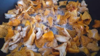 Taze chanterelle mantarları tavada cızırdıyor, eşsiz dokuları ve altın rengi. Aşçılık projeleri için ideal, gurme aşçılığının ve doğal malzemelerin özü..