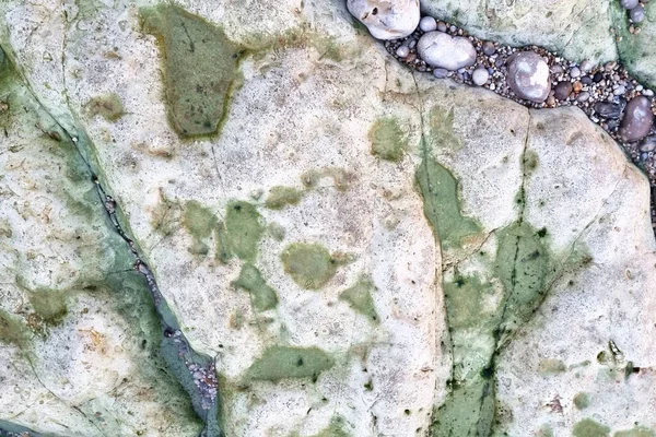 Yeşil yosunlarla süslenmiş kıyı şeridi boyunca yıpranmış kaya oluşumunun detaylı bir görüntüsü. Dokulu yüzey, küçük çakıl taşlarıyla birbirine karışmış, arka planlar, doğa temaları ve kıyı tasarımları için mükemmel engebeli, doğal bir estetik sunuyor..