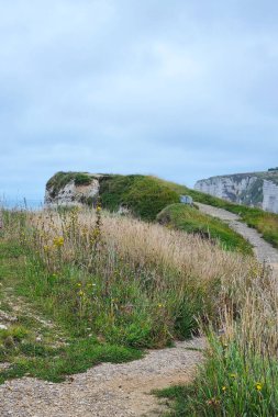 Manzaralı bir kıyı yolu bulutlu bir gökyüzünün altında çimenli uçurumlar boyunca esiyor. Yaban çiçekleri yeşil manzarayı noktalar. Sakin bir okyanus manzarası engebeli araziyi tamamlar, doğa keşfi ve seyahat için idealdir..