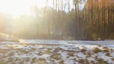 Sıcak güneş ışığı altında hafif karla kaplanmış, uzun ağaçlı bir ormanın bulunduğu sakin bir kış manzarası. Sahne kıştan bahara, doğal güzellik ve sükunet..