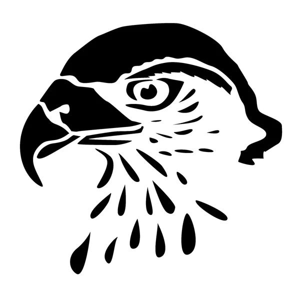 머리 프레데터-독수리-그리기 — 스톡 사진