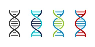 DNA ikonu. DNA veya kromozom çizgisi ikonu. DNA sarmal çizgisi simgesi hazır. DNA yapı molekül simgesi.