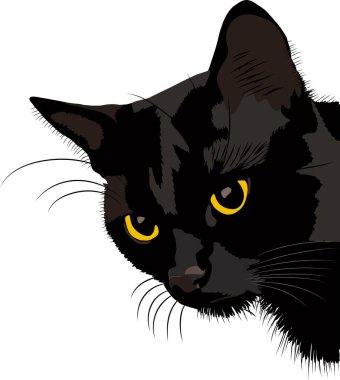 Minimalist portrait of a black cat with yellow eyes peering in from the right corner against a white background.