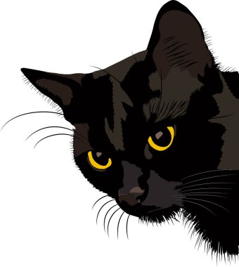 Minimalist portrait of a black cat with yellow eyes peering in from the right corner against a white background.