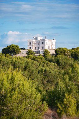 İspanya 'nın güneyindeki doğayla çevrili tepenin üzerindeki Valencia' daki Algorfa şatosu savunma kalesiydi. Red Houses kontuna aitti..