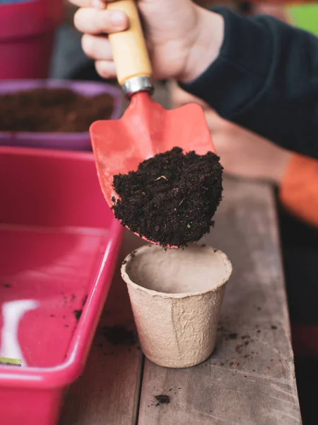 Anak-anak kecil belajar bagaimana menanam benih di kebun. Kedalaman bidang tangan yang sempit memegang benih dan tanah hitam dalam pot. Taman ekologi di sekolah dasar di Spanyol — Stok Foto