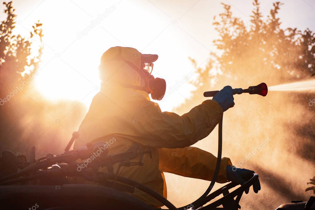 Weed insecticide fumigation. Organic ecological agriculture. Spray pesticides, pesticide on fruit lemon in growing agricultural plantation, spain. Man spraying or fumigating pesti, pest control at sunset wearing protective suit.