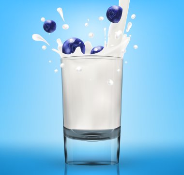 Vektör süt sıçrama bluberry ile cam