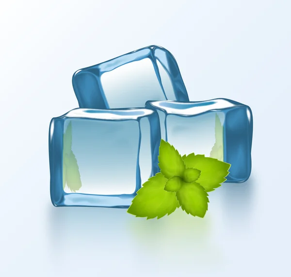 Bloques de hielo vectoriales con menta — Vector de stock