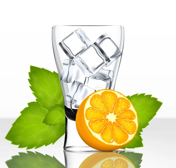 Vektör bira cam buz, portakal ve nane ile