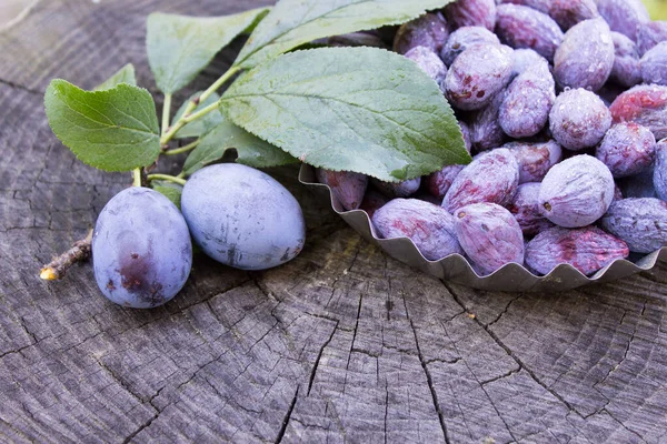 Dried plums, ugly plum on a wooden table. DIY prunes.