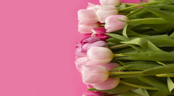 班纳美丽的背景上精致的郁金香在时髦的粉红色背景 三月八日母亲节的明信片 复制空间 — 图库照片#