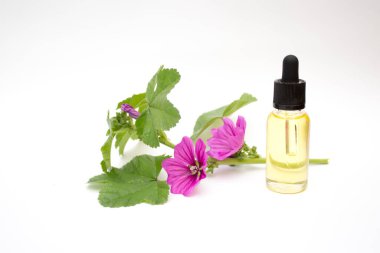 Damla şişesi, temel yağ şişesi. Damla şişesinde Kalanchoe yağı, bahar cilt bakımı konsepti. Pankart