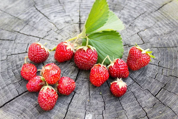 Verse Aardbeien Berry Met Kopieerruimte Rijp Rode Aardbei Bes Houten — Stockfoto