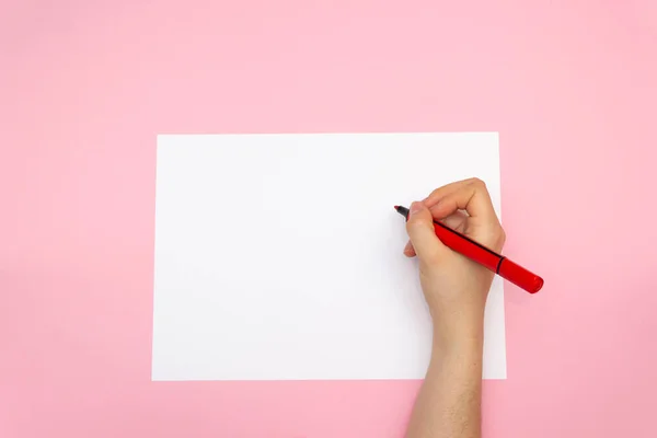 Çizim için kalemli beyaz sayfa, pembe arka planda yaratıcı bir kavram. Bir fikrin doğuşu..