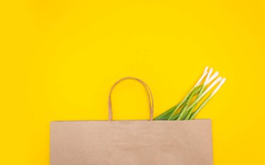 Sarı arka planda yeşil soğanlı kağıt eko çanta.