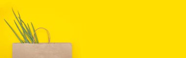 Sarı arka planda yeşil soğanlı kağıt eko çanta için pankart
