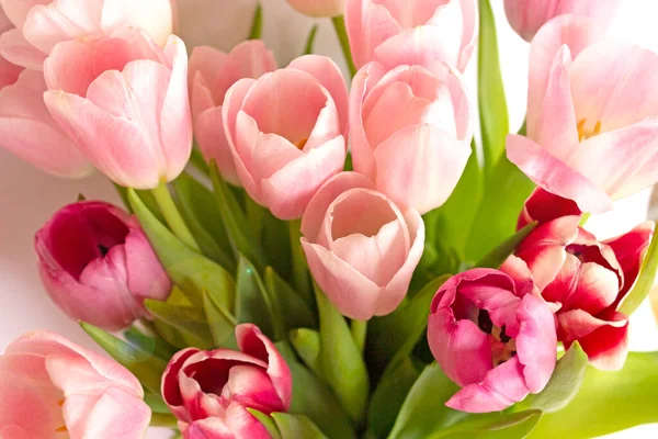 Tulpe. Strauß zartrosa Tulpen. Konzept, Symbol des Urlaubs. Florales Arrangement von Frühlingsblumen — Stockfoto