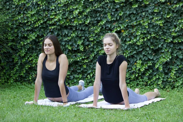 Kızlar parkta yoga yapıyor.