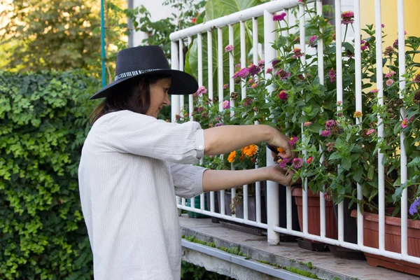 Mujer Cortando Flores Jardín — Foto de Stock