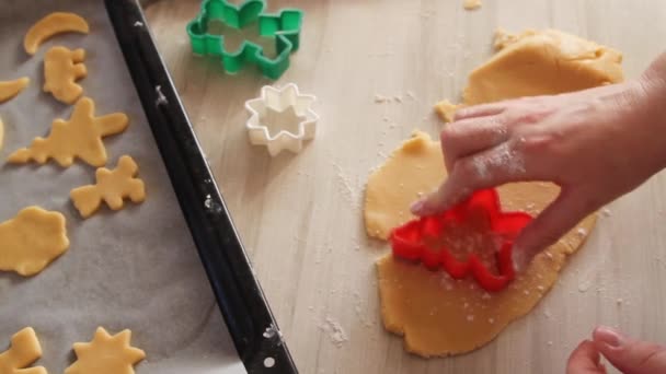 Close up de mãos femininas fazendo biscoitos — Vídeo de Stock