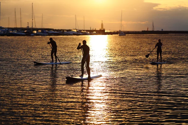 Siluetas de remo de pie al atardecer —  Fotos de Stock