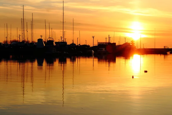 Summer evening landscape at the sea — Stock Photo, Image