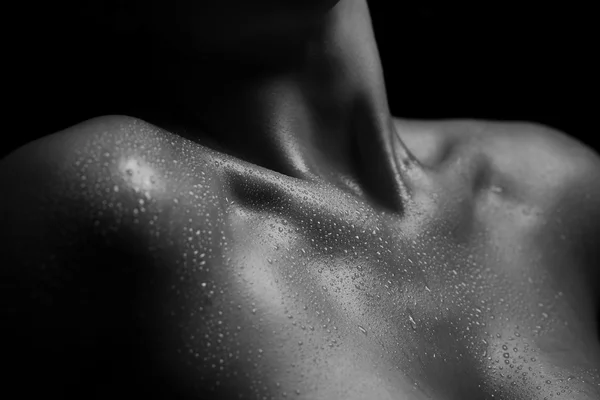 güzel kadınların vücut