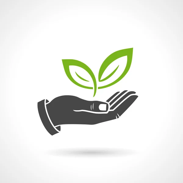 Hand met groene laat ecologie Vector symbool — Stockvector