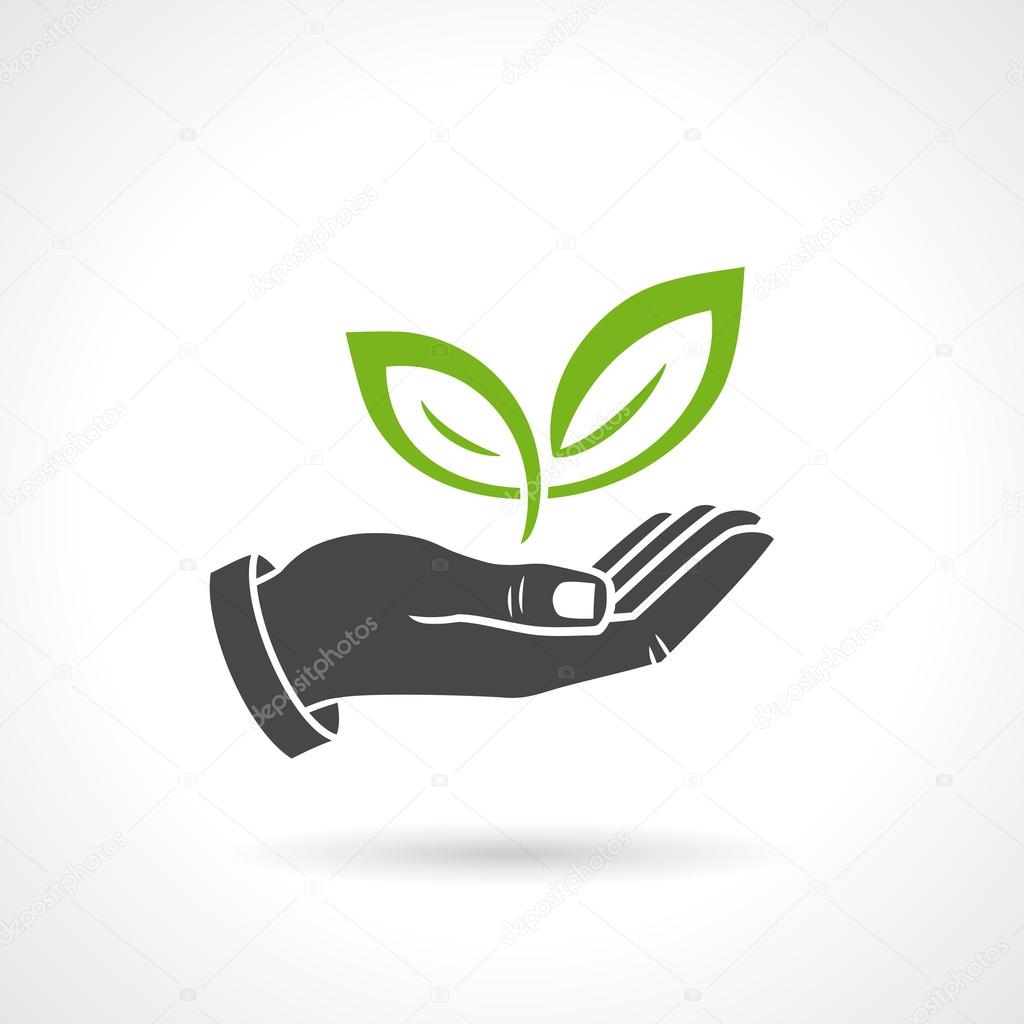 Hand Holding Green Leaves Ecology Vector Symbol