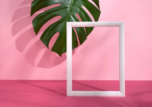 Minimalist pembe arka plan, beyaz ahşap çerçeve ayakta, arka planda canavar yaprağı. Metin için kopyalama alanı olan romantik ya da sevgililer günü teması. 