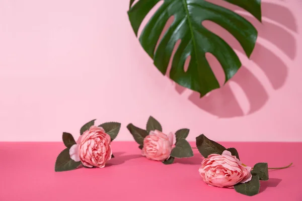 Layout Primavera Criativo Com Folha Verde Monstera Rosas Deitadas Uma — Fotografia de Stock