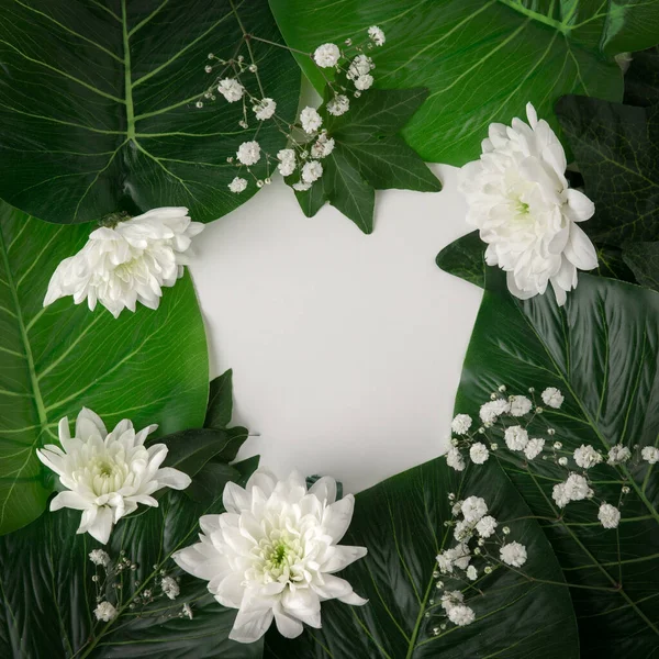 Folhas Verdes Tropicais Flores Brancas Dispostas Para Formar Quadro Com — Fotografia de Stock