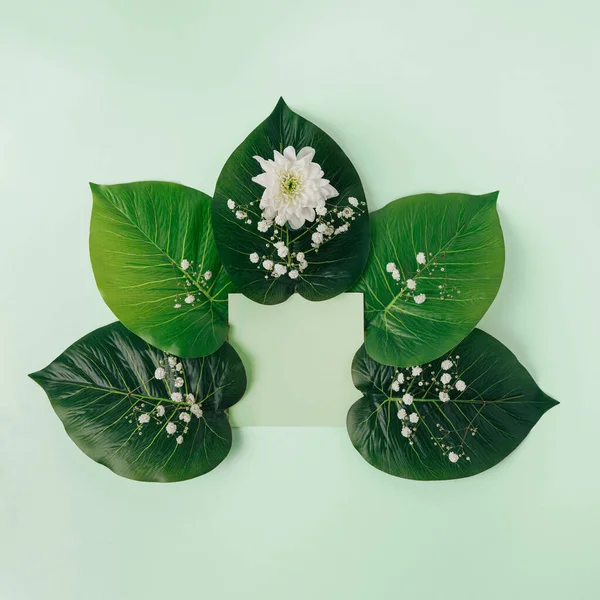 Nota Branco Emoldurada Com Grandes Folhas Verdes Tropicais Flores Brancas — Fotografia de Stock