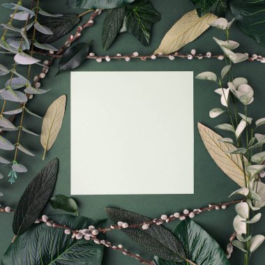 Yeşil bitkiler, yapraklar, kağıt kart notları ve düz dizaynlı yaratıcı bir düzen. Doğal konsept.