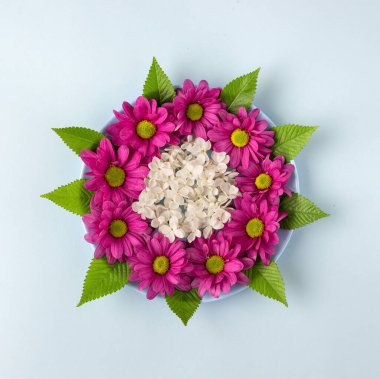 Mavi arka planda güzel, yuvarlak bir bahar çiçeği aranjmanı. Minimum düzlük çiçek süslemesi. 