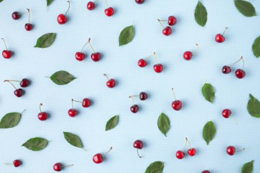 Tatlı kırmızı kirazlar ve turkuaz mavi noktalı arka planda yapraklarla düz yaz şablonu.. 